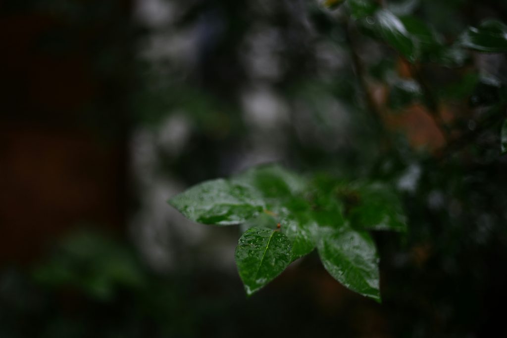 東京遭遇驚人暴雨 交通癱瘓居民疏散